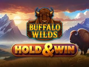 Buffalo Wilds game icon