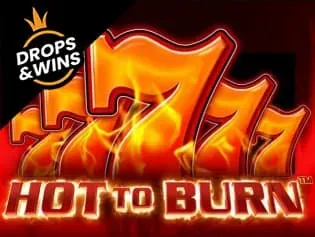 Hot to Burn game icon