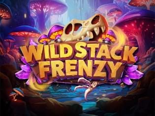 Wild Stack Frenzy game icon